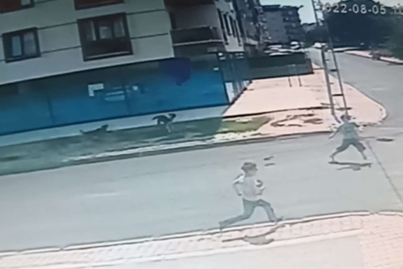 Başıboş köpek sürüsü 8 yaşındaki çocuğa saldırdı Başıboş köpek sürüsü 8 yaşındaki çocuğa saldırdı